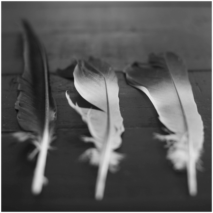 Lili Love Photography