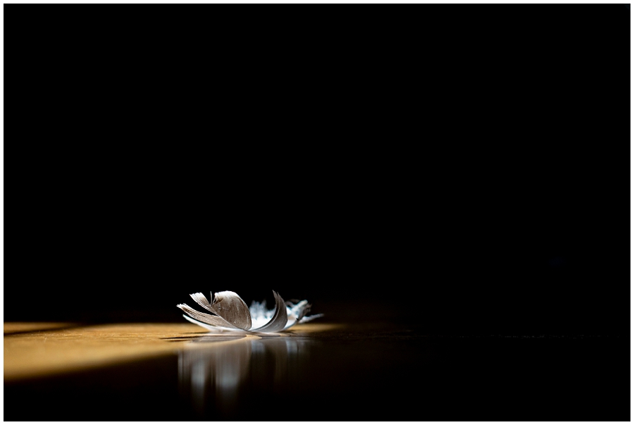 Phyllis Meredith Photography