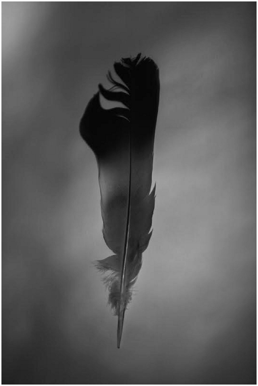 Lili Love Photography