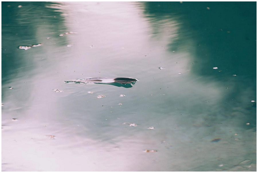 Lili Love Photography