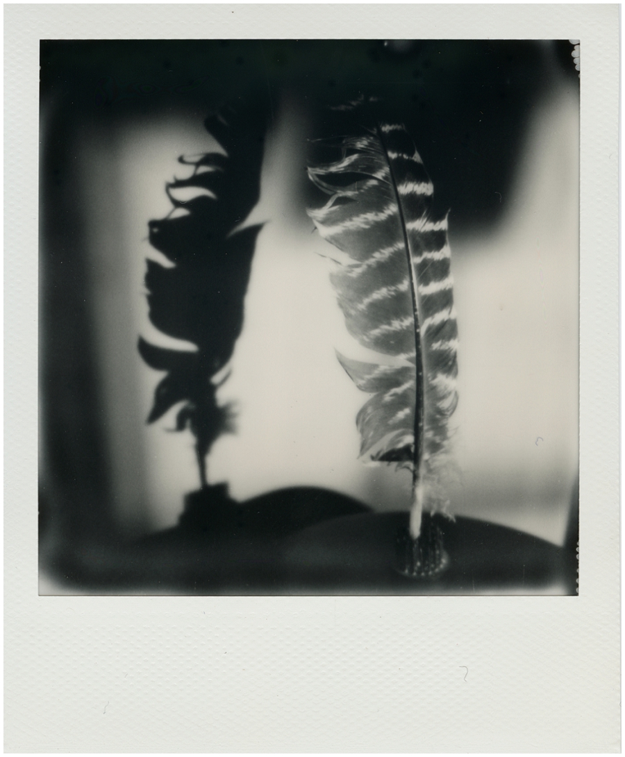 Sx-70 black and white film, indoor, tripod