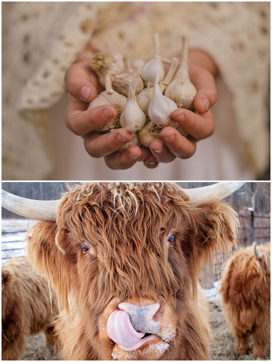 Currently hanging at The Spicy Green Bean in Glastonbury CT as part of Melange, a group WEHA artist show.