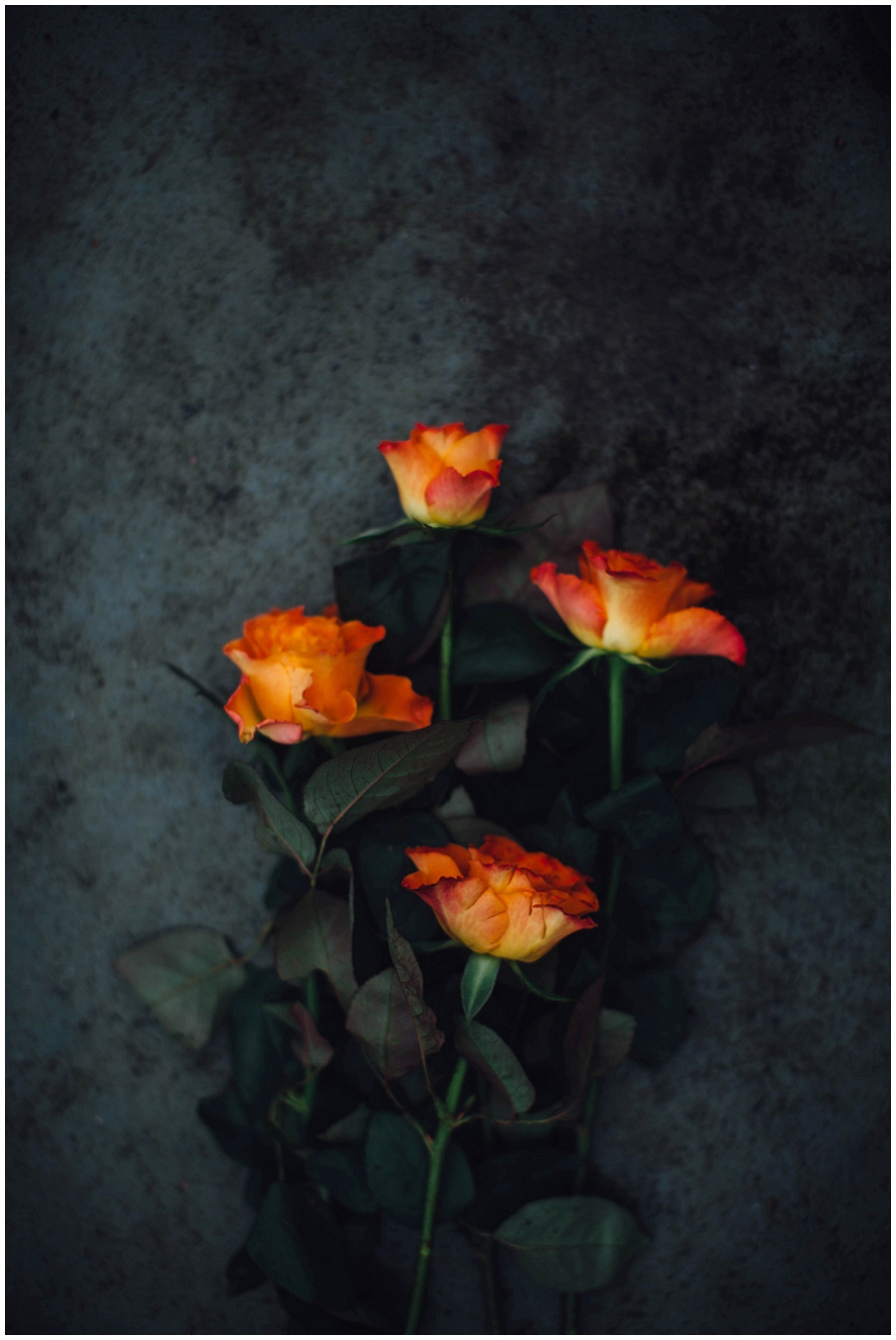 Lili Love Photography&nbsp;