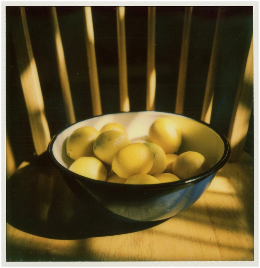 Phyllis Meredith Photography&nbsp;