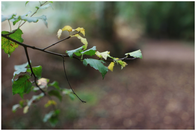 Lili Love Photography&nbsp;