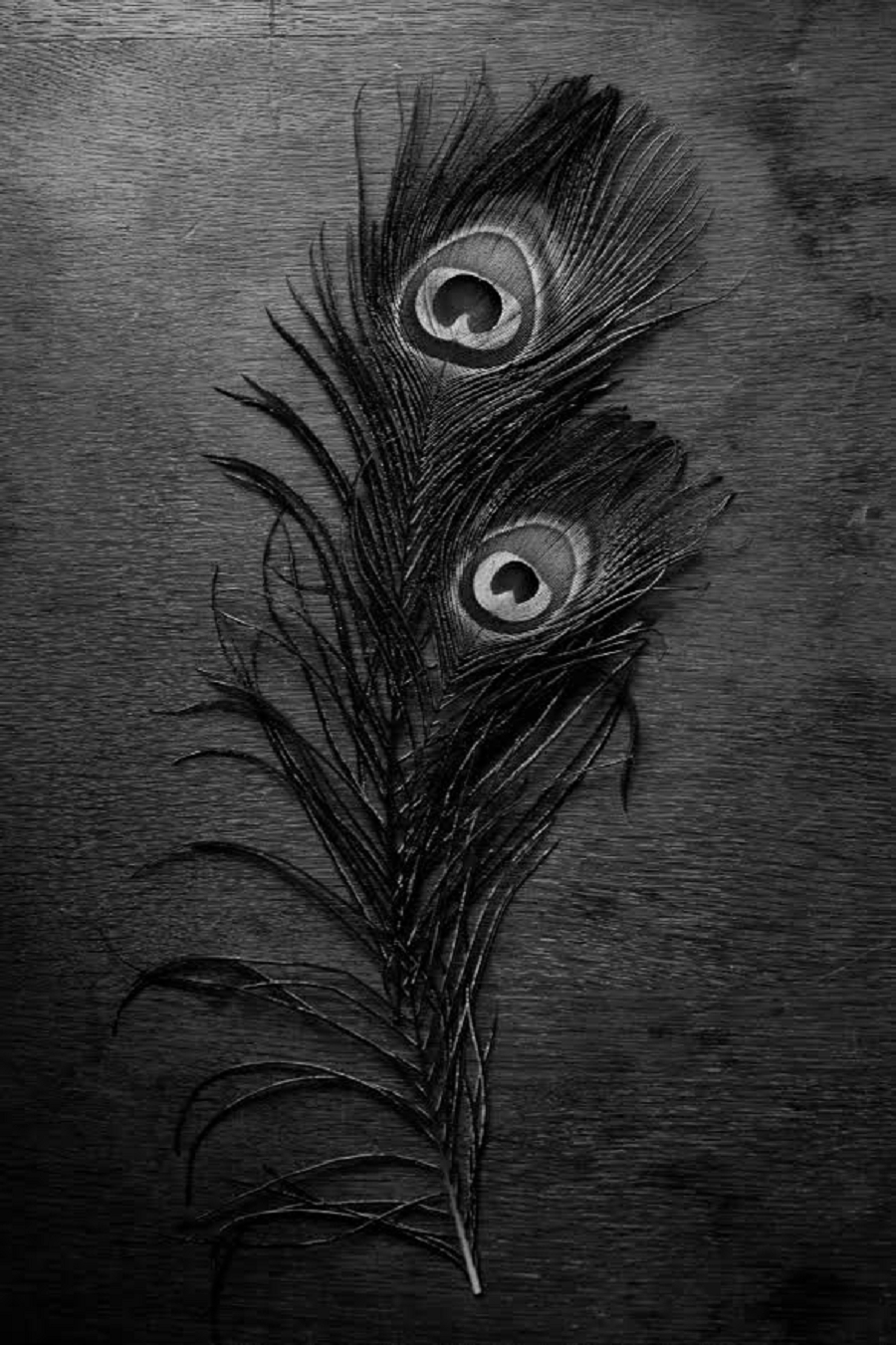 Lili Love Photography