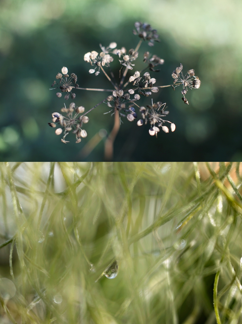 Lili Love Photography Top Image  Phyllis Meredith Photography Bottom Image&nbsp;