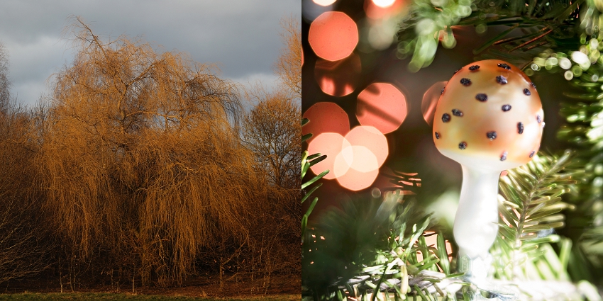 Lili Love Photography Left Image  Phyllis Meredith Photography Right Image&nbsp;