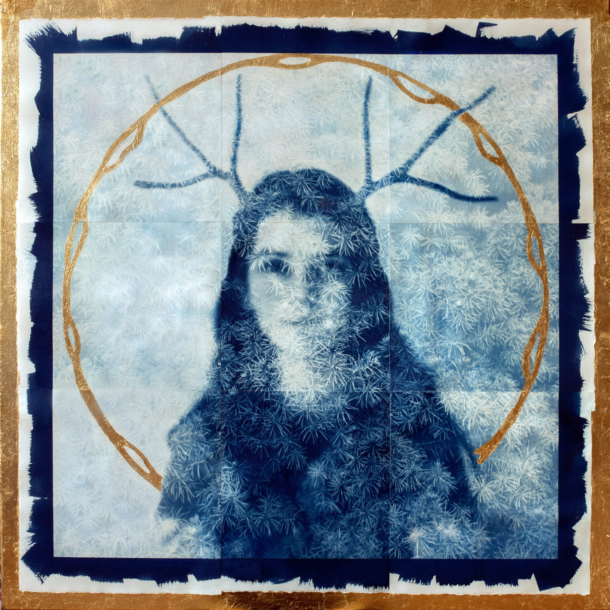 Meadow Antlers and Pine Needles