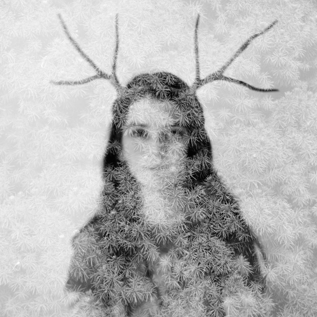 HumanNature Meadow Antlers